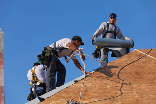 Best Metal Roofing Contractor  in River Falls, WI