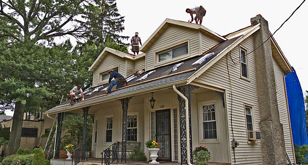 Best Storm Damage Roof Repair  in River Falls, WI