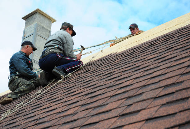 Best Roof Gutter Cleaning  in River Falls, WI