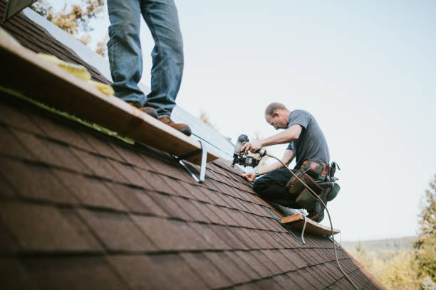 Best Metal Roofing Contractor  in River Falls, WI